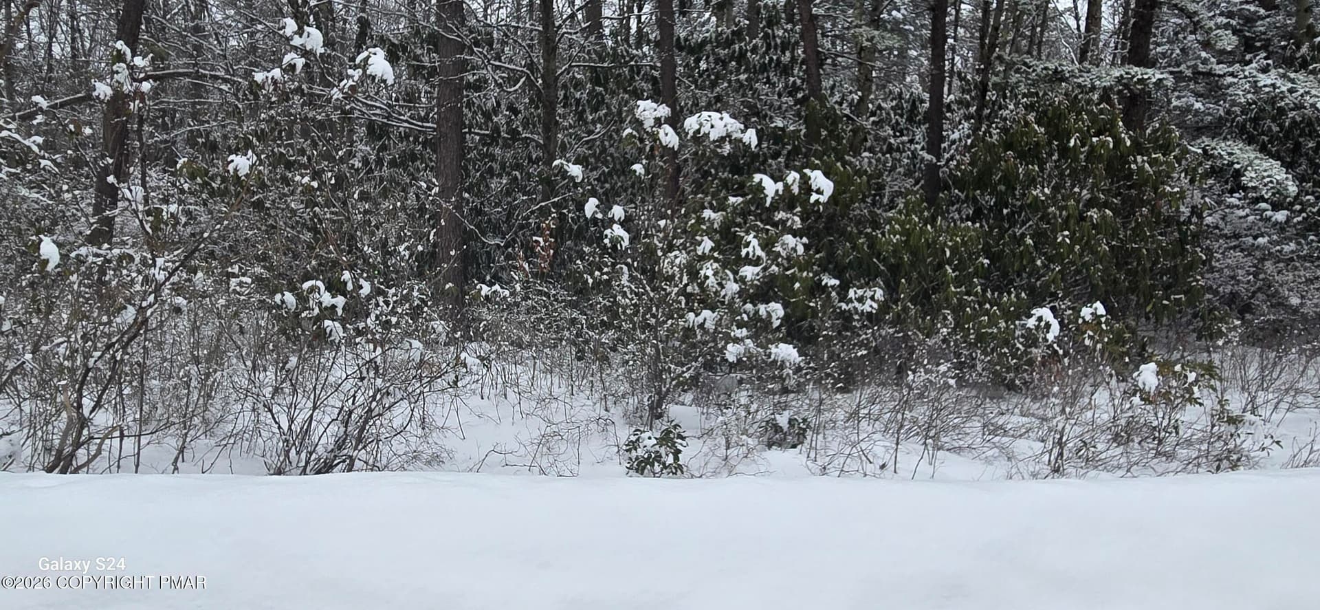 Trail Ridge Road, Albrightsville, PA 18210