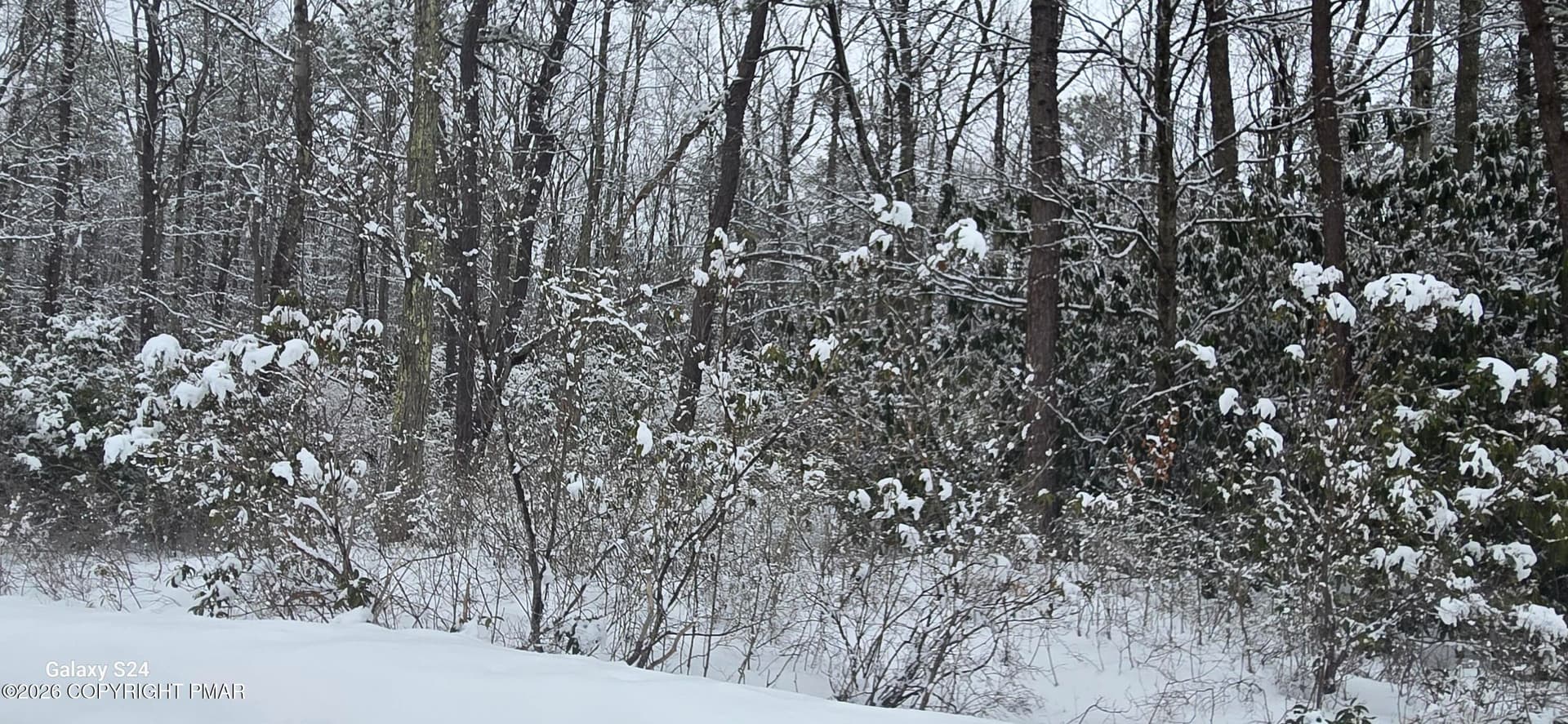 N Sycamore Drive, Jim Thorpe, PA 18229