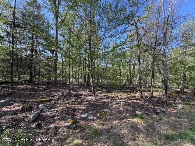 39 Diamond Court, South Sterling, PA 18460
