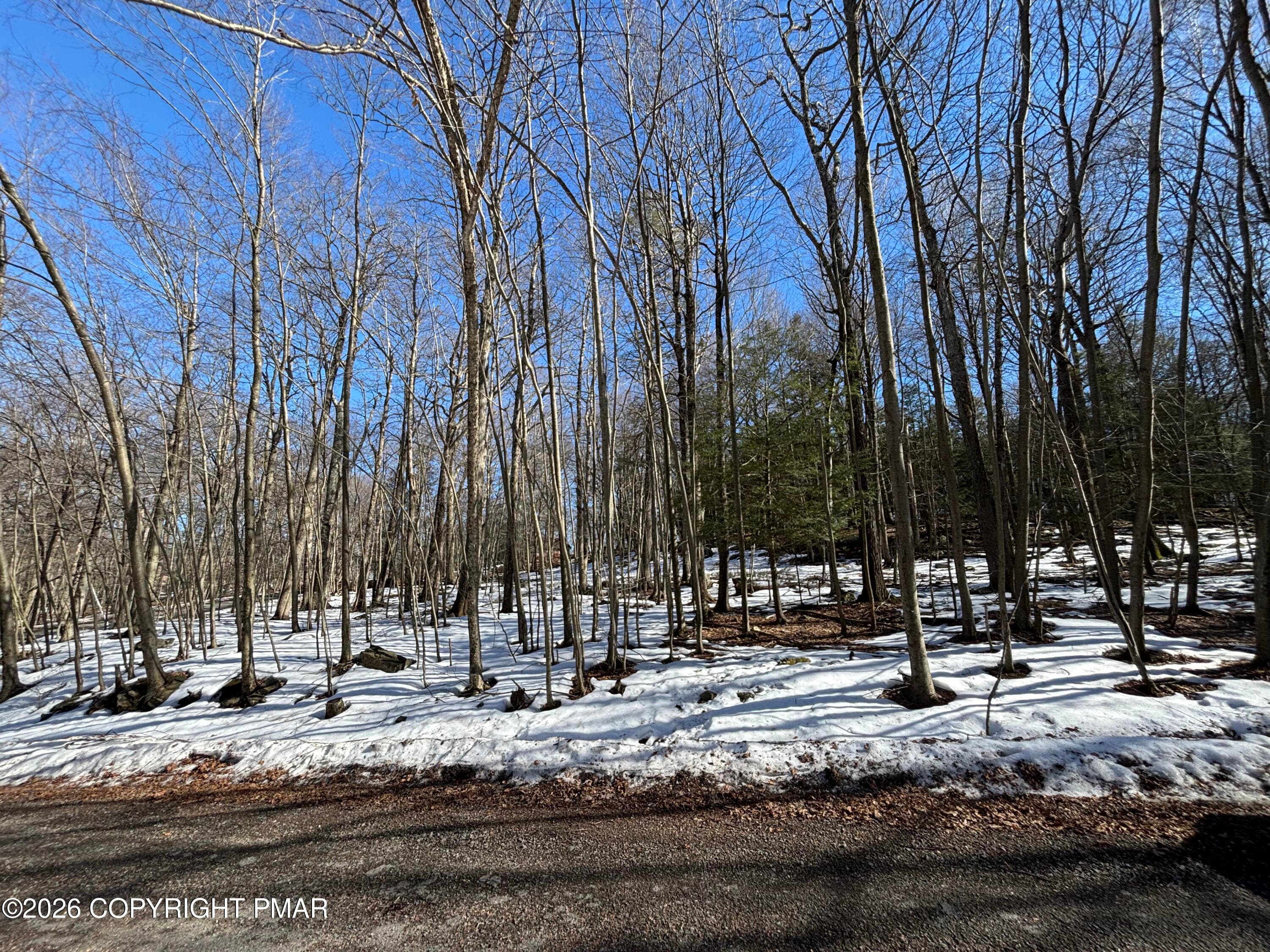 Bass Ct1 - Lots 113/114- Bass Court, Canadensis, PA 18325, Canadensis