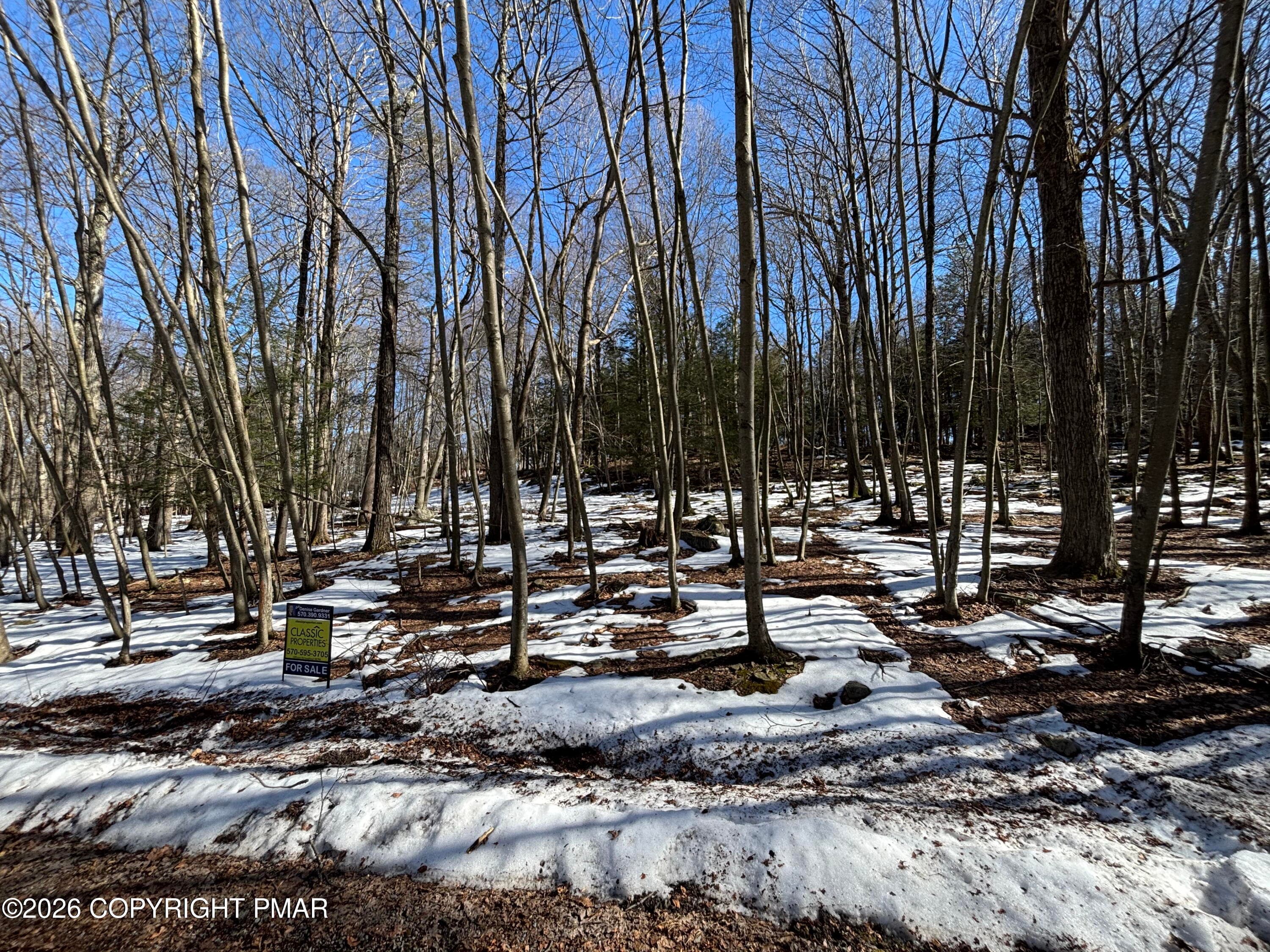 Bass Ct3 - Lots 113/114- Bass Court, Canadensis, PA 18325, Canadensis