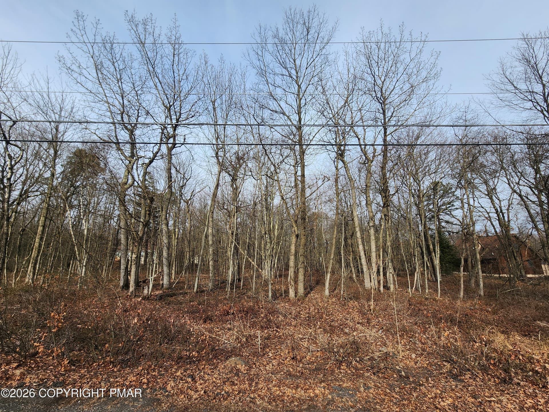 Lot D419 Panther Run Rd Road, Jim Thorpe, PA 18229