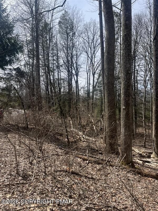 Slope - Lot 10 Keene Way, Saylorsburg, PA 18353, Saylorsburg