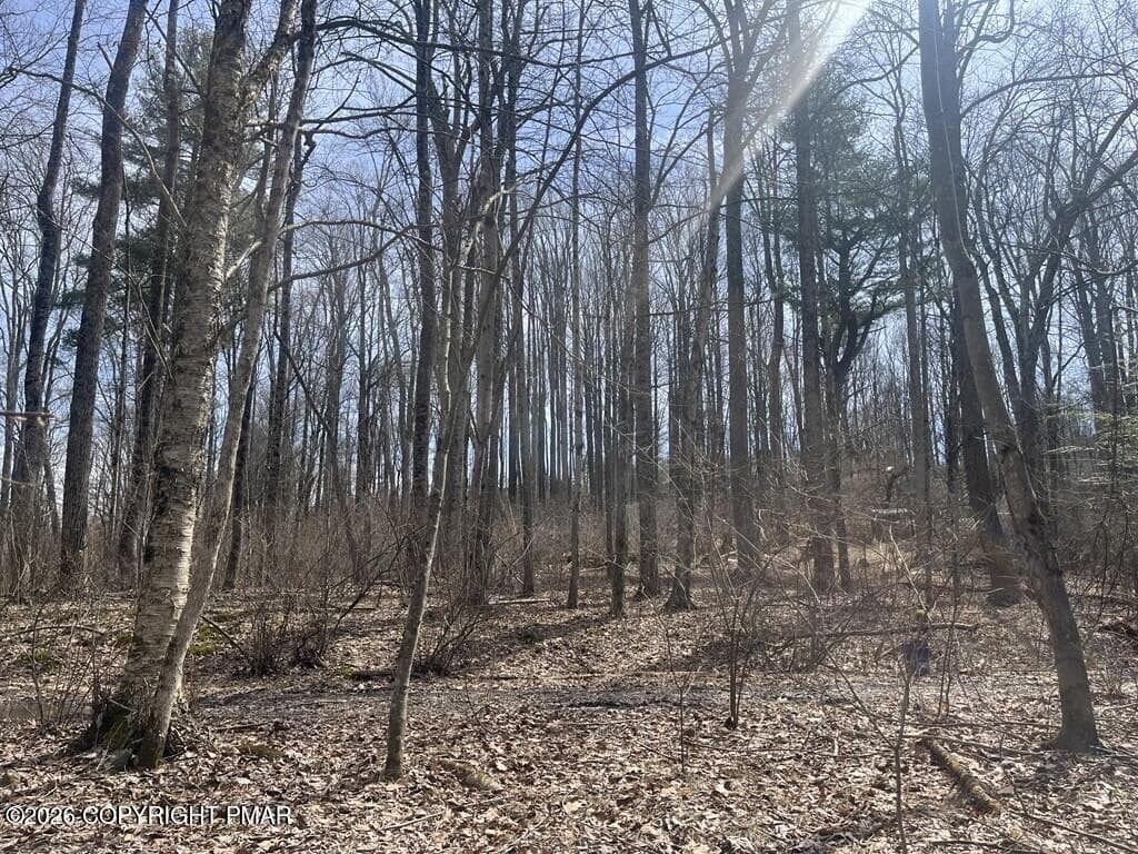 Facing Road - Lot 10 Keene Way, Saylorsburg, PA 18353, Saylorsburg