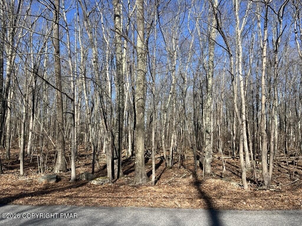 Lot 21 Pocono Forested Drive, East Stroudsburg, PA 18302