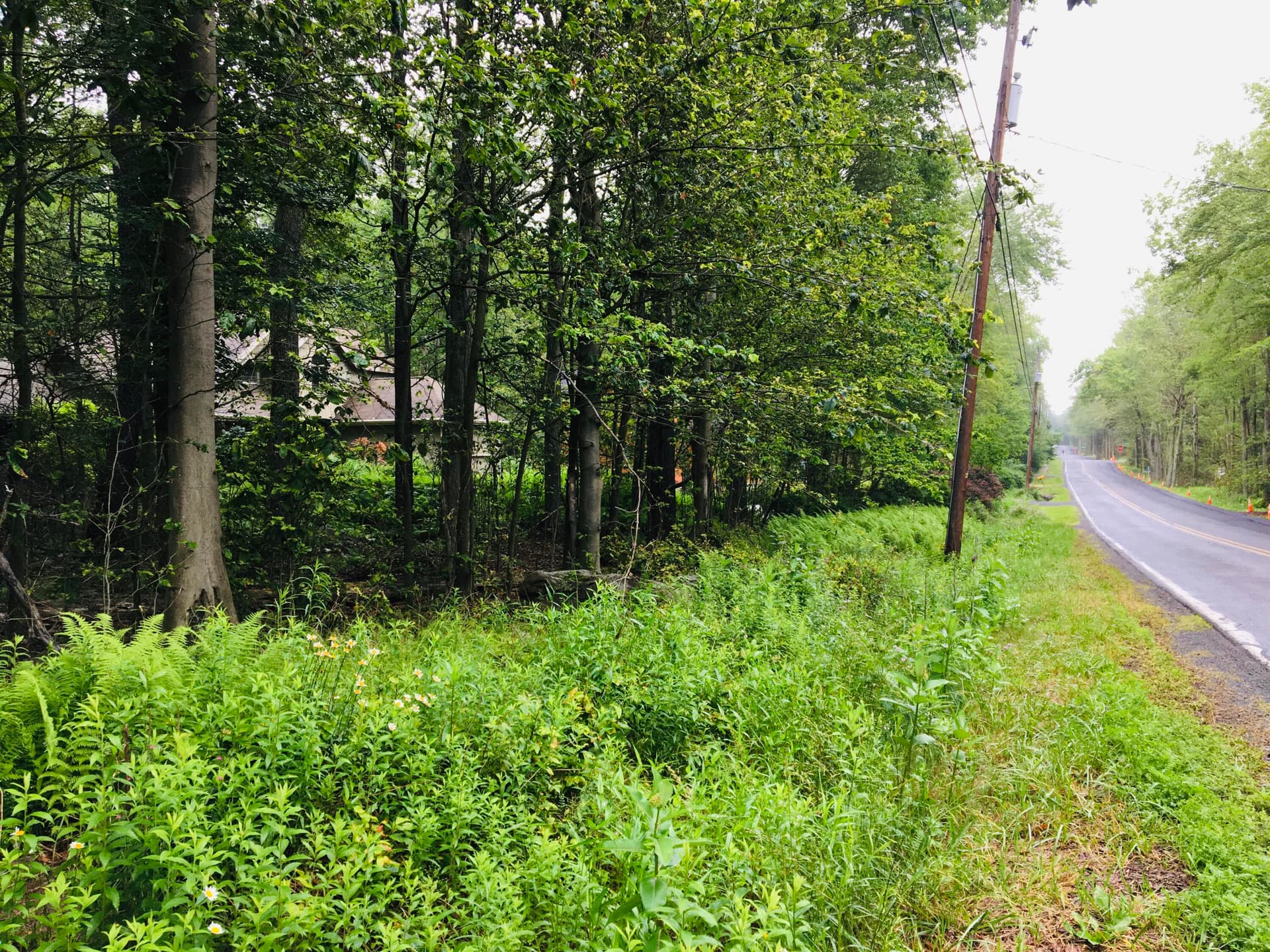 IMG_1373 - 40 Gross Drive, Pocono Pines, PA 18350