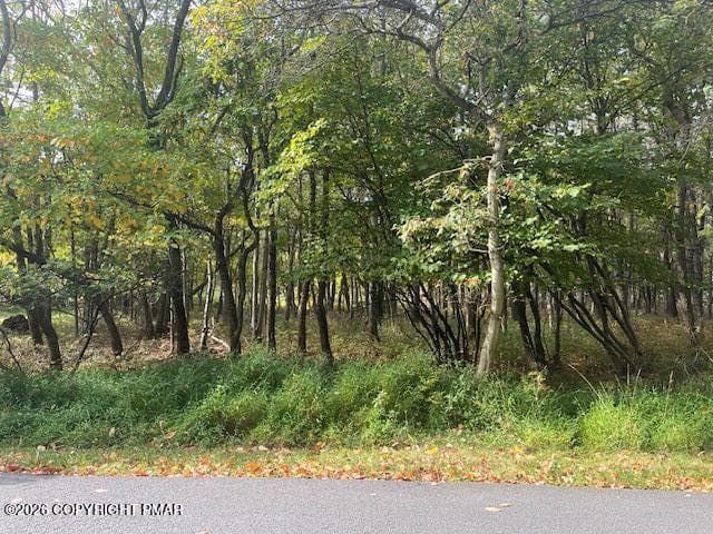 Chippewa Trail Pic11 - Chippewa Trail, Albrightsville, PA 18210, Albrightsville