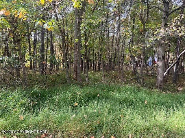 Chippewa Trail Pic5 - Chippewa Trail, Albrightsville, PA 18210, Albrightsville