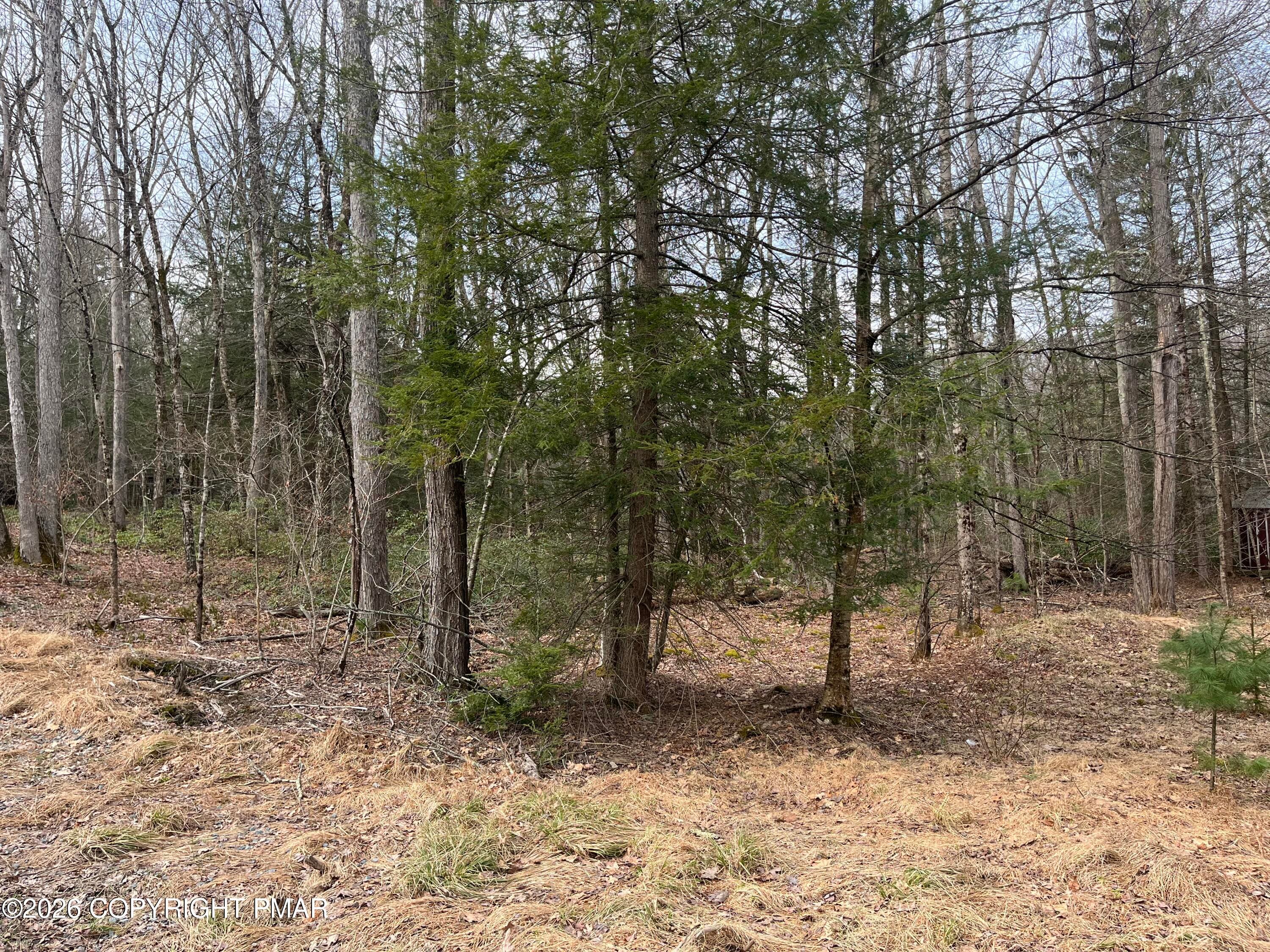 Lot 203 PA 739 2 - 203 PA-739, Hawley, PA 18428, Hawley