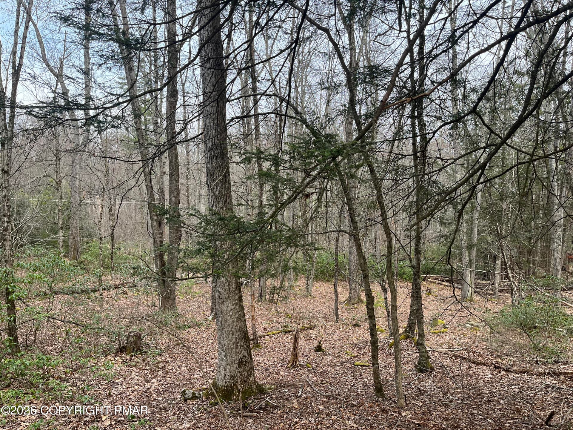 Lot 203 PA 739 3 - 203 PA-739, Hawley, PA 18428