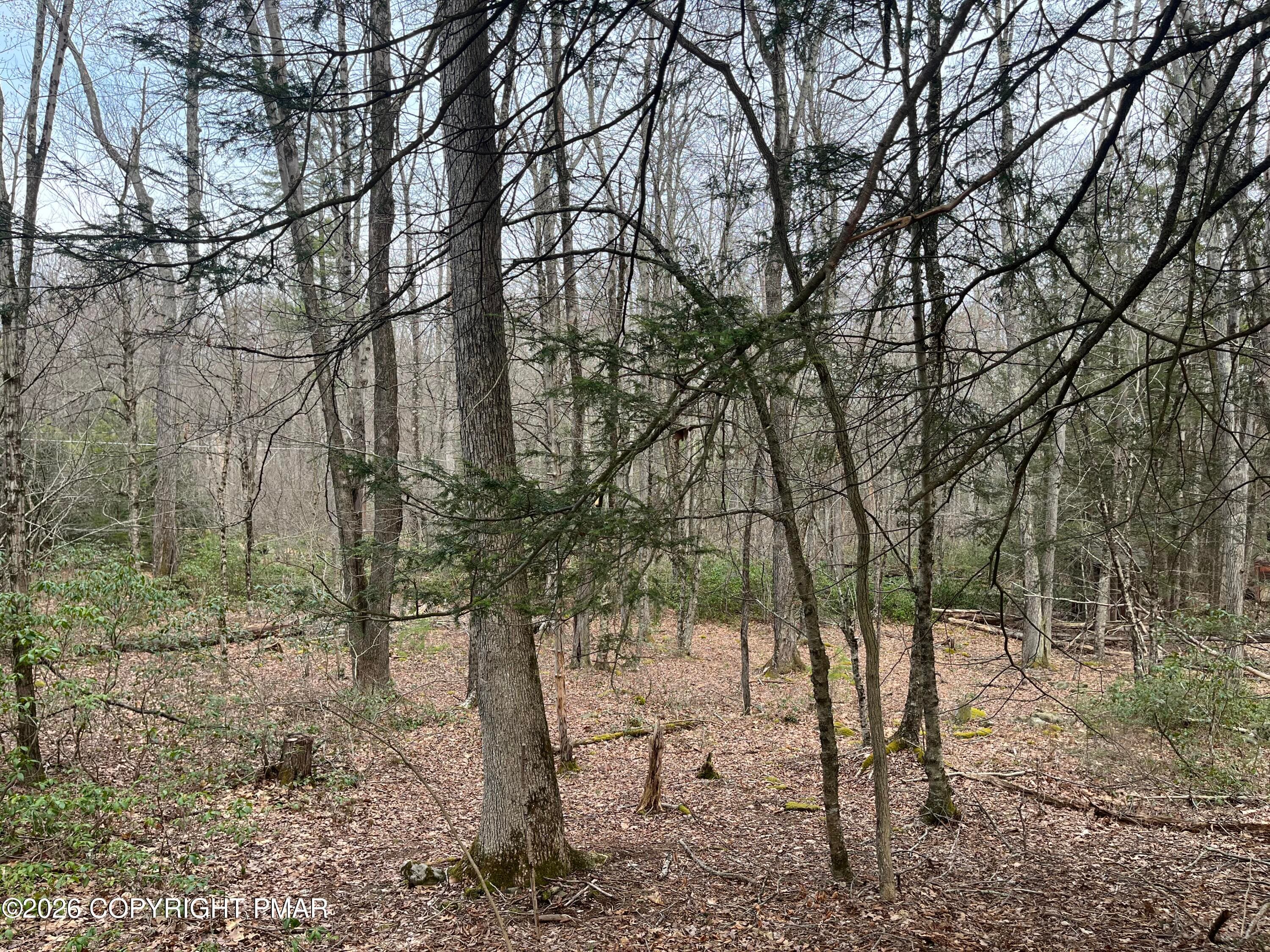 Lot 203 PA 739 3 - 203 PA-739, Hawley, PA 18428, Hawley