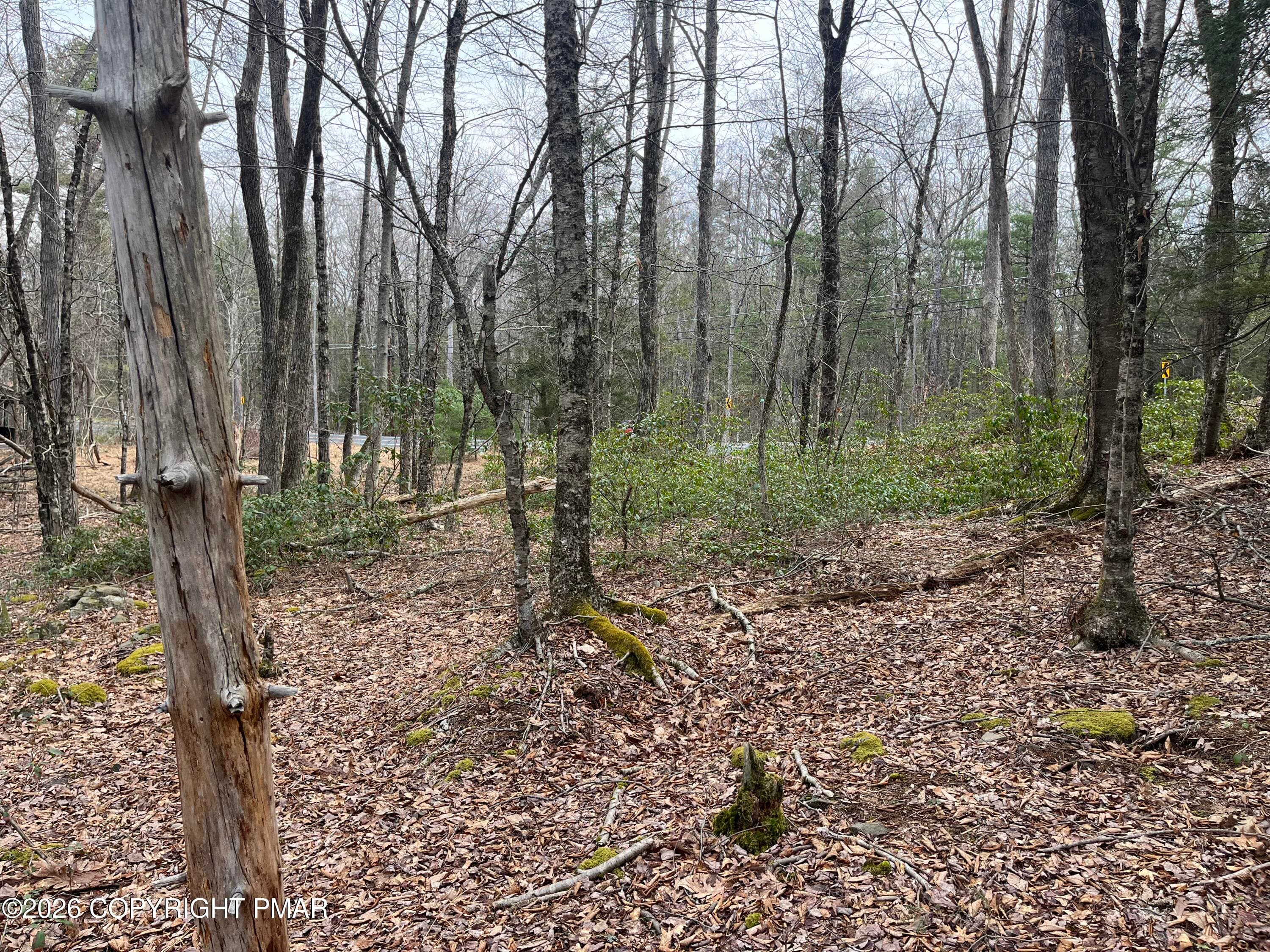 Lot 203 PA 739 4 - 203 PA-739, Hawley, PA 18428, Hawley