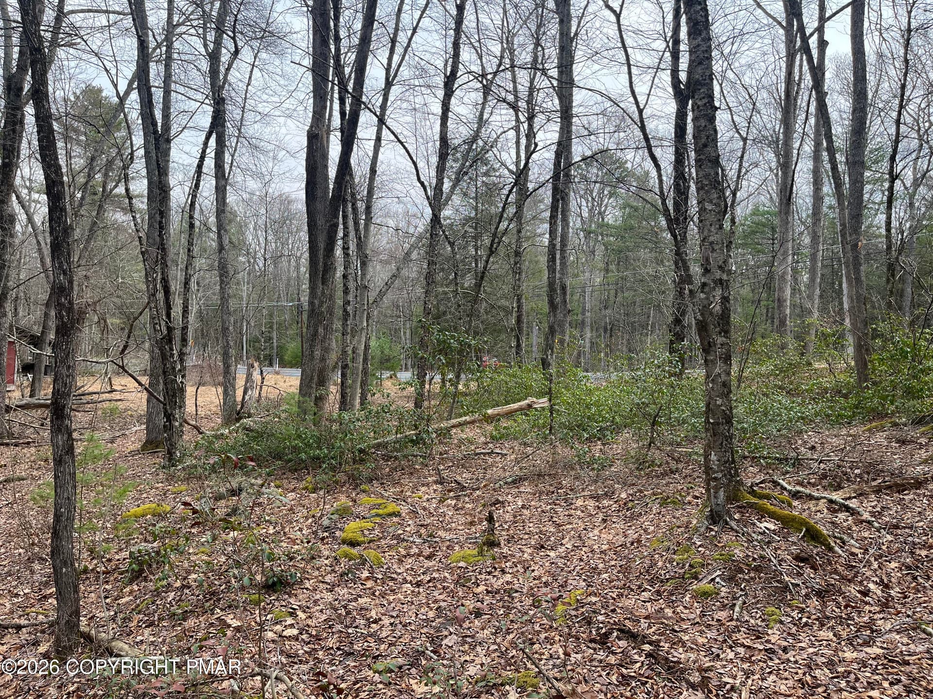 Lot 203 PA 739 6 - 203 PA-739, Hawley, PA 18428