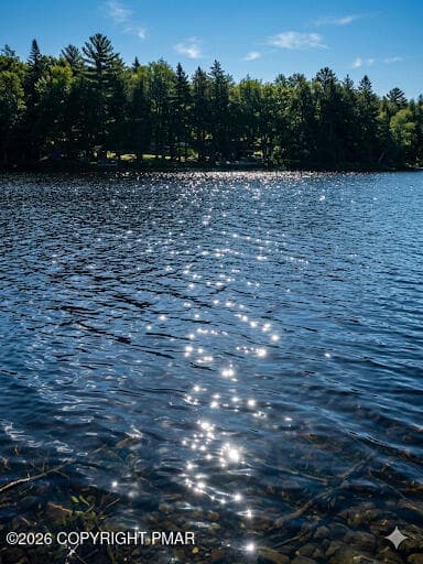 summer lake view sparkling - 110 Spruce Lake Drive, Milford, PA 18337, Milford