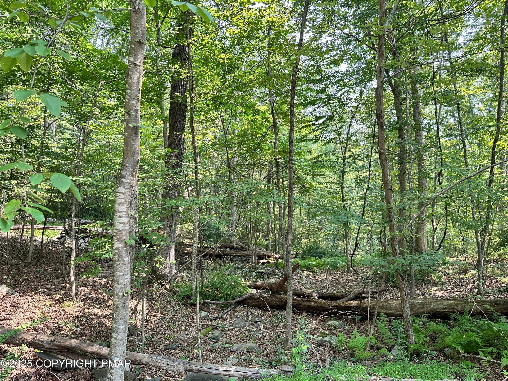 St Moritz Ct 4F, Henryville, PA 18332