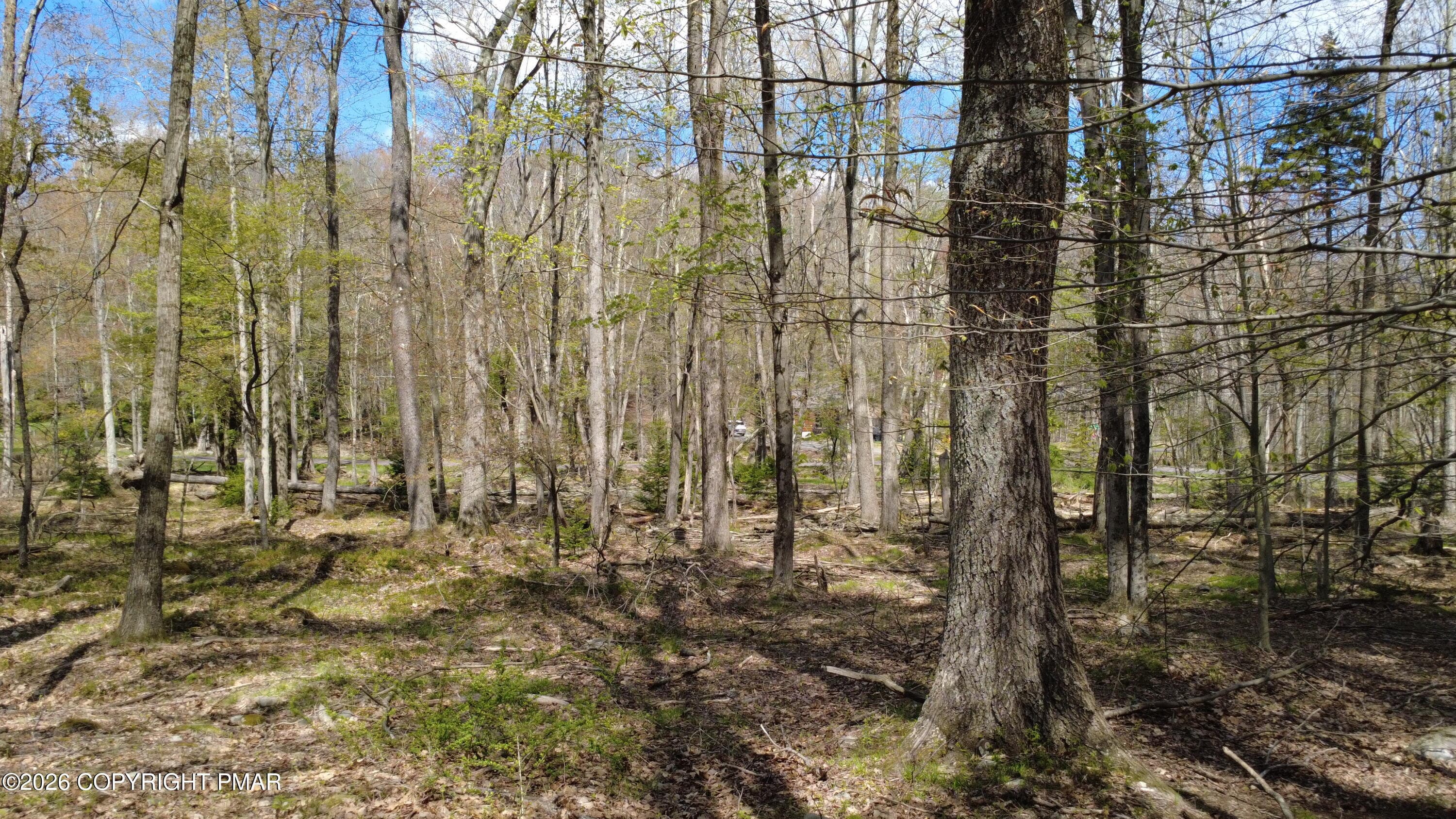 DJI_0054 - 163 Owassa Drive, Pocono Lake, PA 18347, Pocono Lake