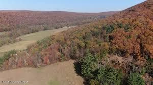 images (4) - 399 Mountain View Drive, Hazle Township, PA 18202, Hazle Township