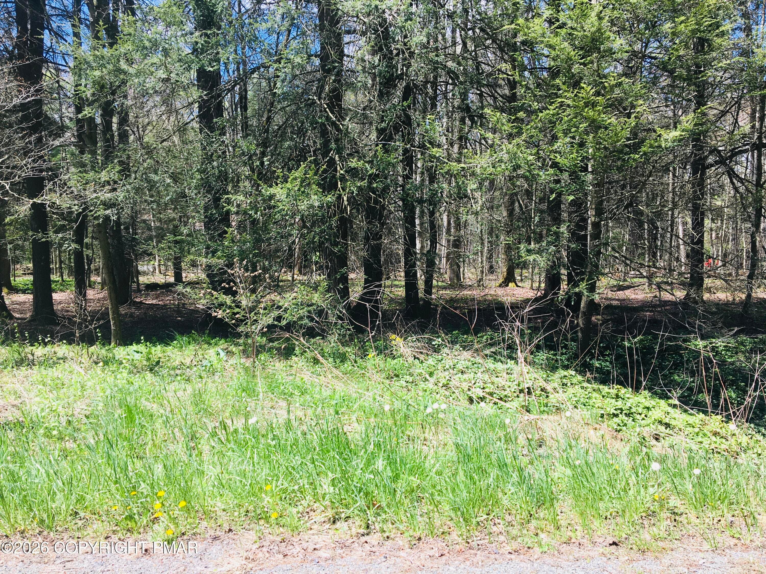IMG_2494 - Lot 31 Route 423, Pocono Pines, PA 18350, Pocono Pines
