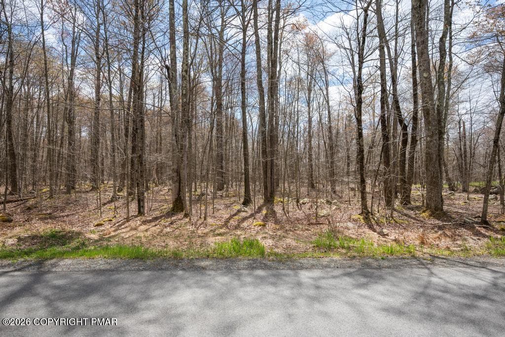 PAX_0265 (1) - Lot 87 Pioneer Trail, Pocono Pines, PA 18350