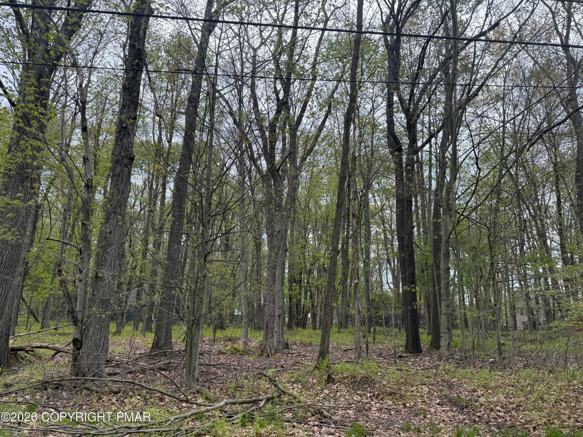 IMG_5383 - 6 Paiute Path, Pocono Lake, PA 18347