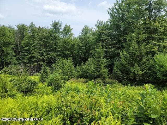 Lot - Hermit Thrush Road, Pocono Pines, PA 18350, Pocono Pines