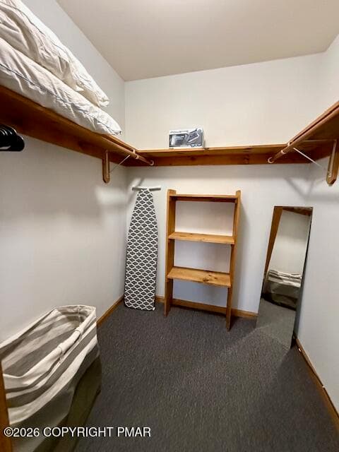 Primary Walk-In Closet - 199 Ash Drive, Long Pond, PA 18334, Long Pond