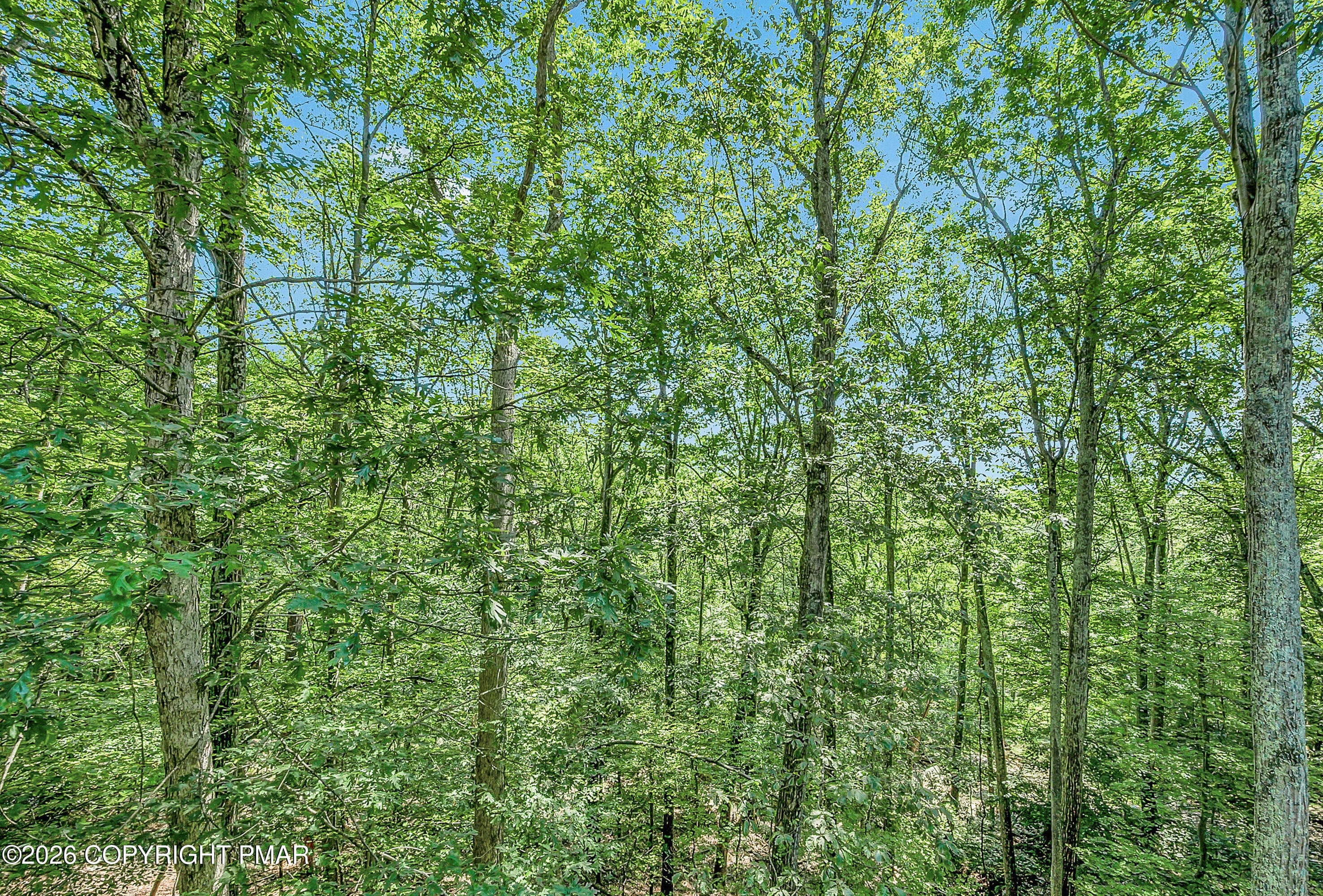 View from Porch - 164 Bellingham Drive, Bushkill, PA 18324, Bushkill