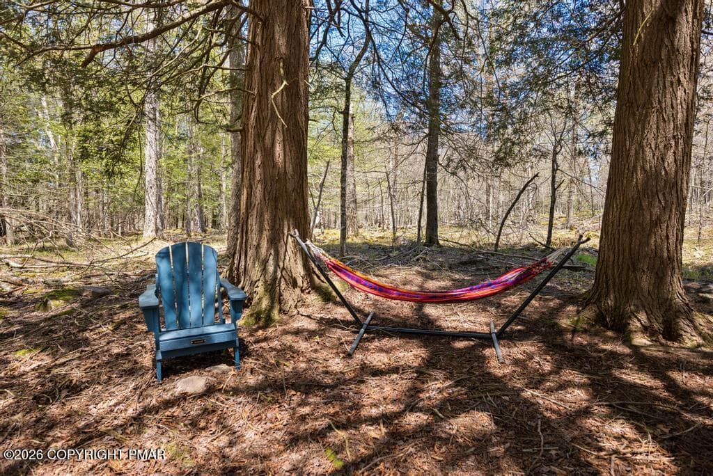 PAX_0674 - 1061 Ridge Drive, Gouldsboro, PA 18424, Gouldsboro