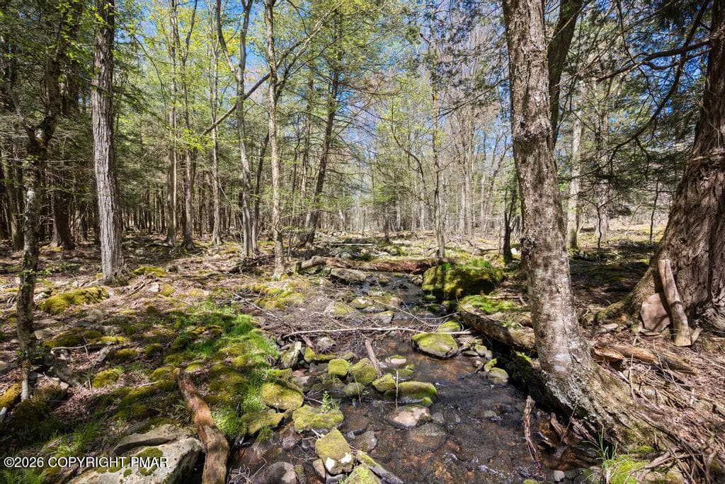 PAX_0683 - 1061 Ridge Drive, Gouldsboro, PA 18424, Gouldsboro
