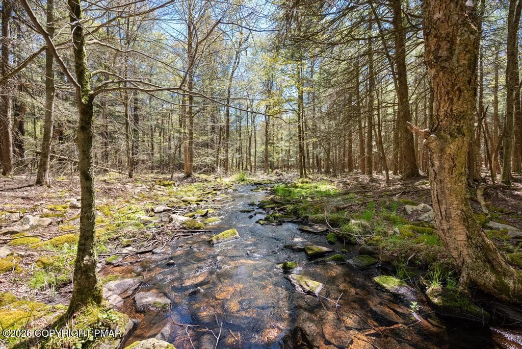 PAX_0684 - 1061 Ridge Drive, Gouldsboro, PA 18424, Gouldsboro