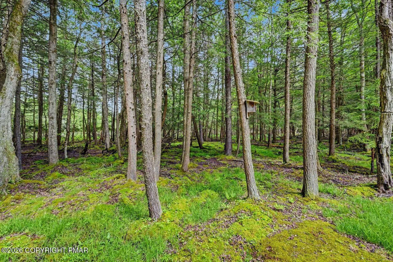 112 Thomas Ln 58 Large - 112 Thomas Lane, Gouldsboro, PA 18424, Gouldsboro