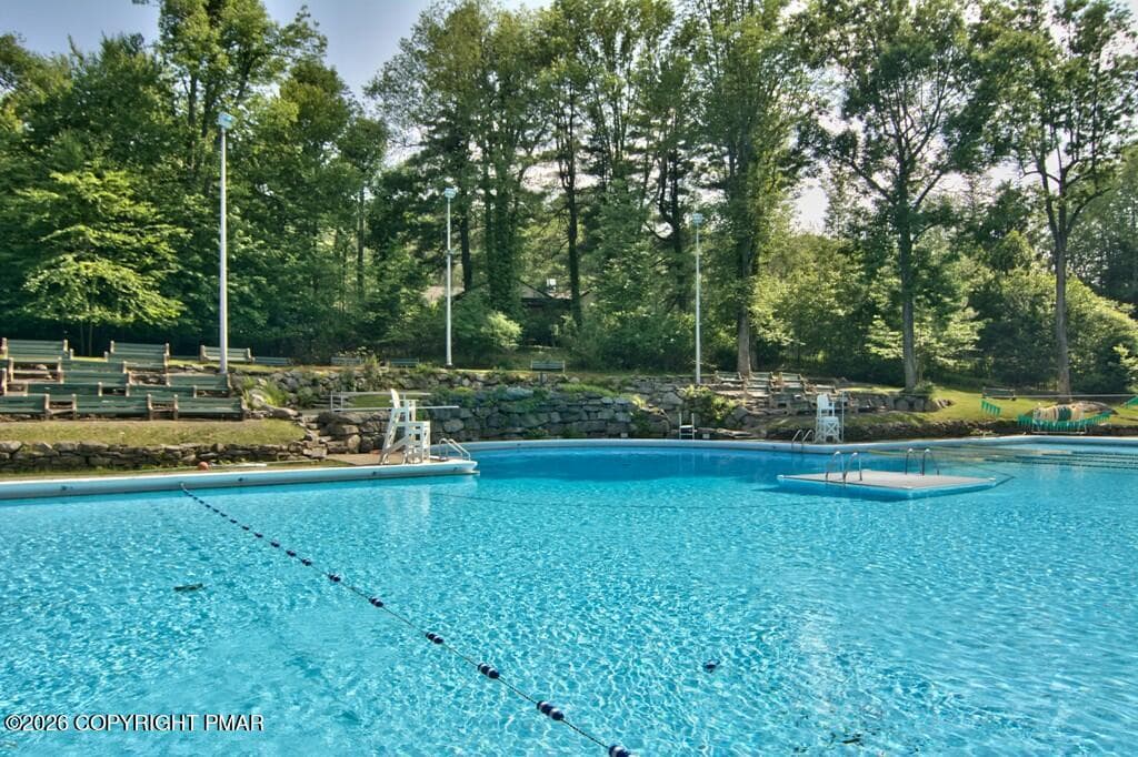 11 Olympic sized Swimming Pool with ston - 223 Huckleberry Lane, Buck Hill Falls, PA 18323, Buck Hill Falls