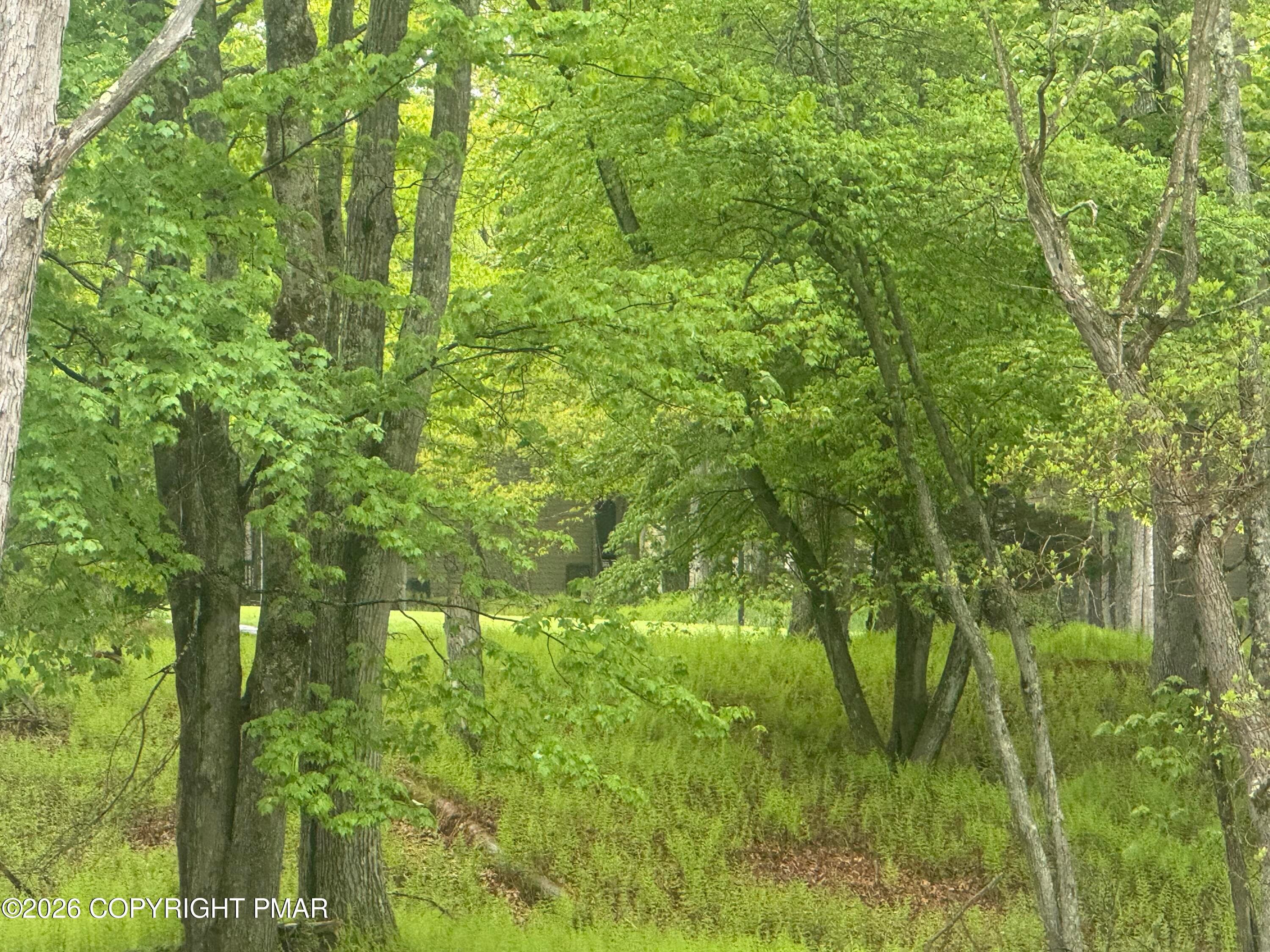 IMG_8019 - Wolf Hollow Road, Lake Harmony, PA 18624, Lake Harmony