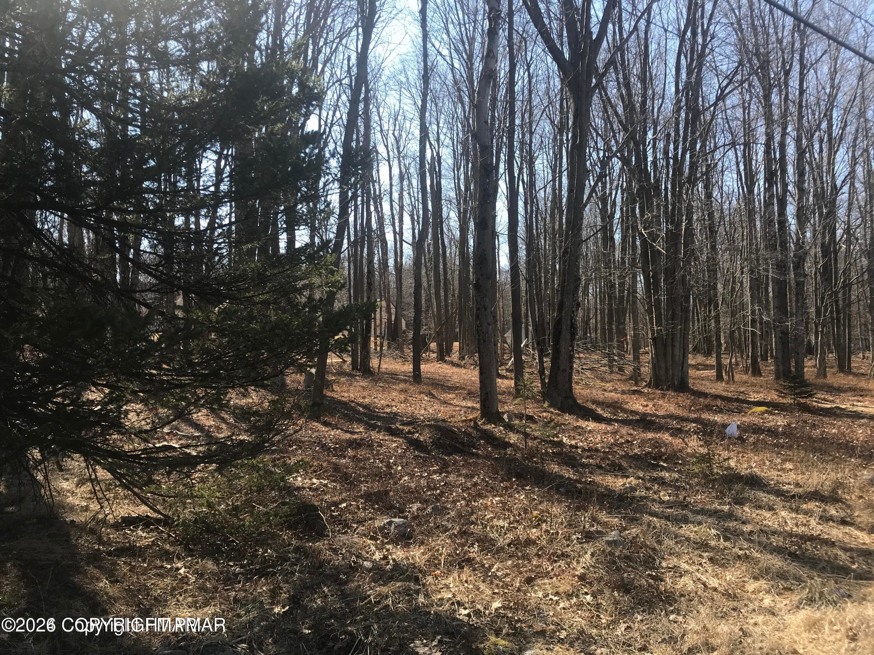 Setting - LR 940, Pocono Summit, PA 18346, Pocono Summit