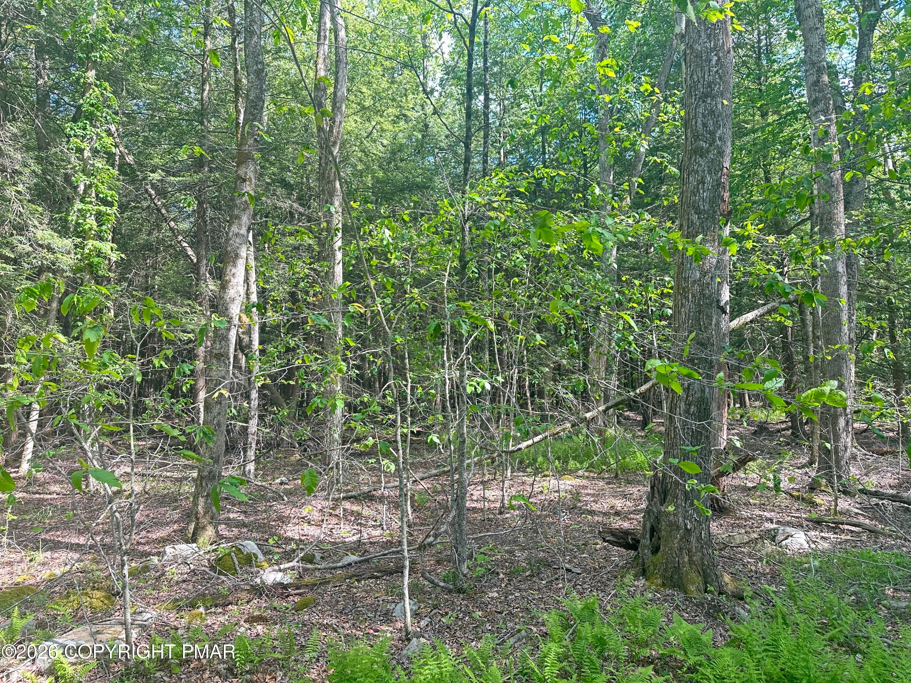 View of Land at Front of Lots - Lots 18-19 N North Estates Dr Drive, Pocono Summit, PA 18346, Pocono Summit
