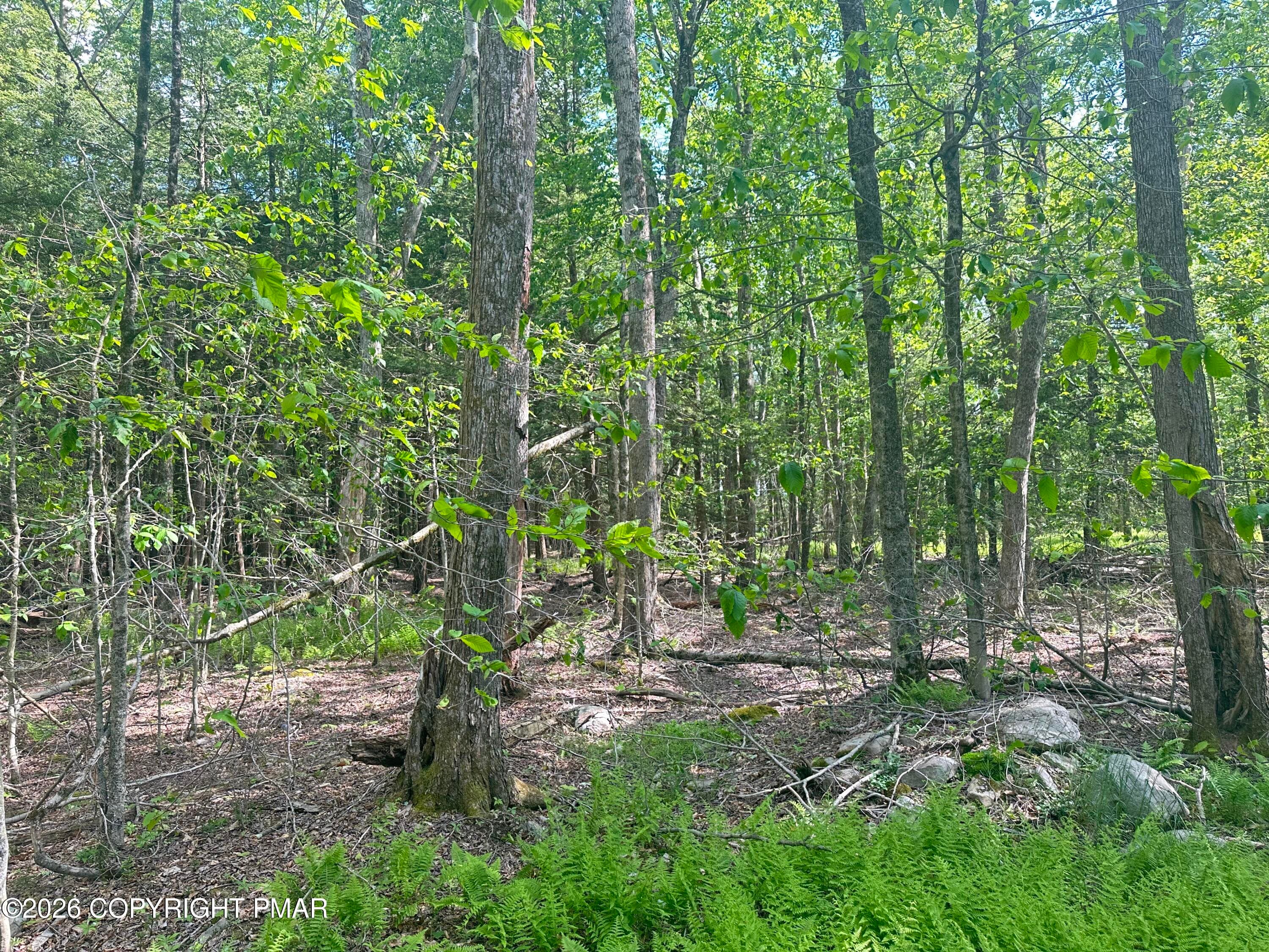 View of Land at Front of Lots - Lots 18-19 N North Estates Dr Drive, Pocono Summit, PA 18346, Pocono Summit