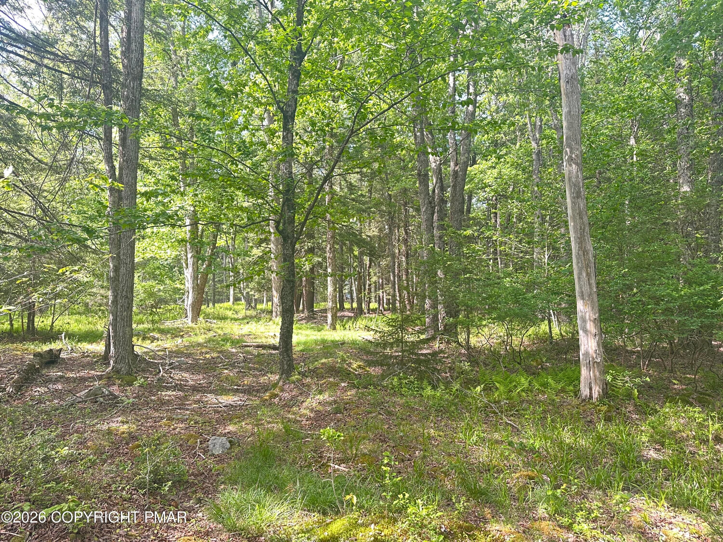 View of Land at Rear/Middle of Lots - Lots 18-19 N North Estates Dr Drive, Pocono Summit, PA 18346, Pocono Summit
