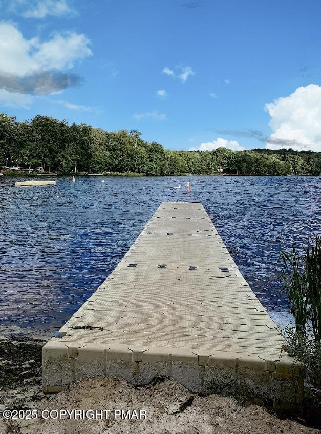 Big bass lake 2 - 19 Livingston Lane, Gouldsboro, PA 18424, Gouldsboro