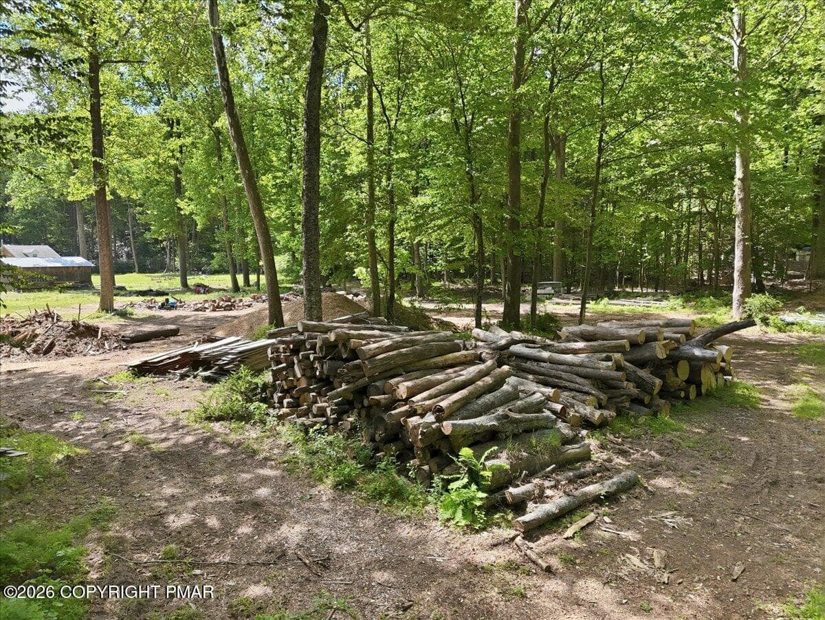51-031_dji_fly_20260529_102804_0121_1780 - 145 Camelback Road, Tannersville, PA 18372