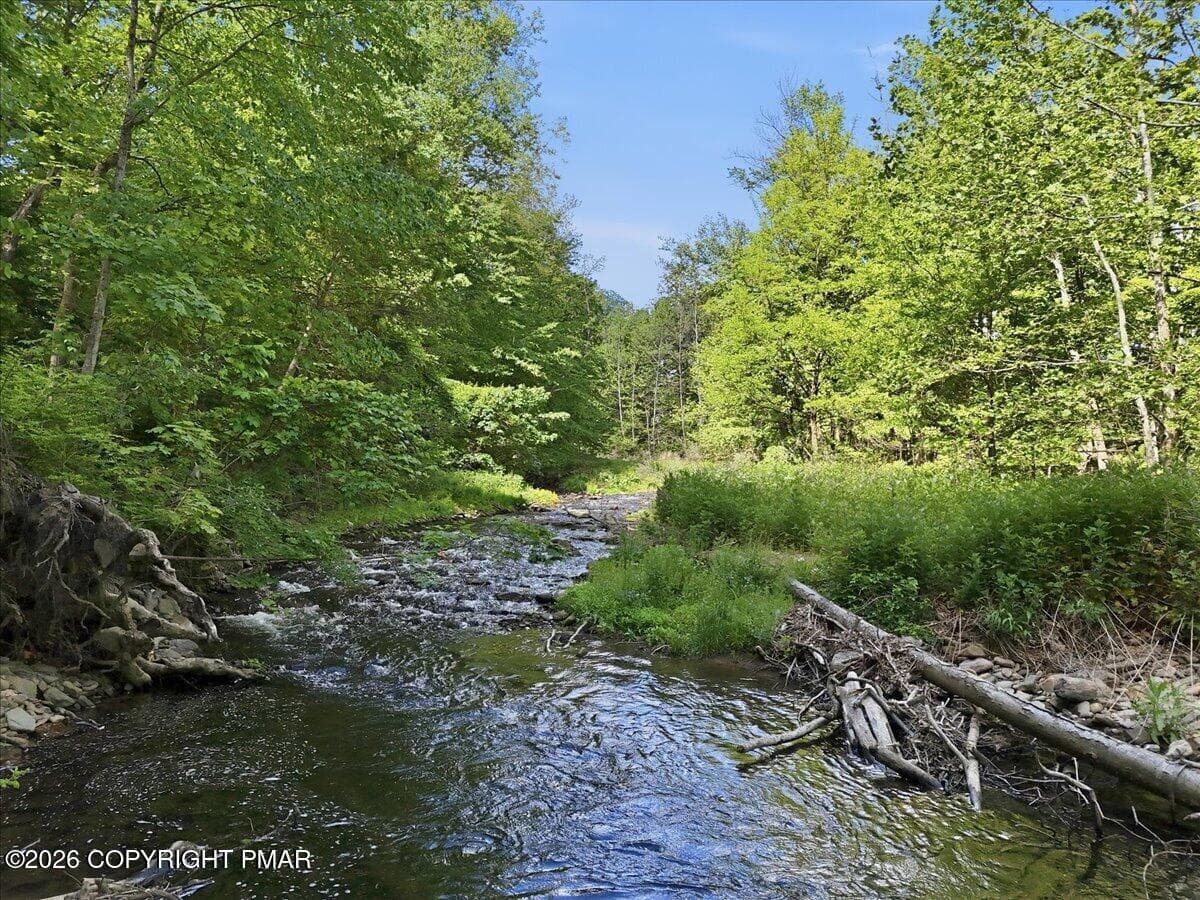 52-032_dji_fly_20260529_102854_0122_1780 - 145 Camelback Road, Tannersville, PA 18372