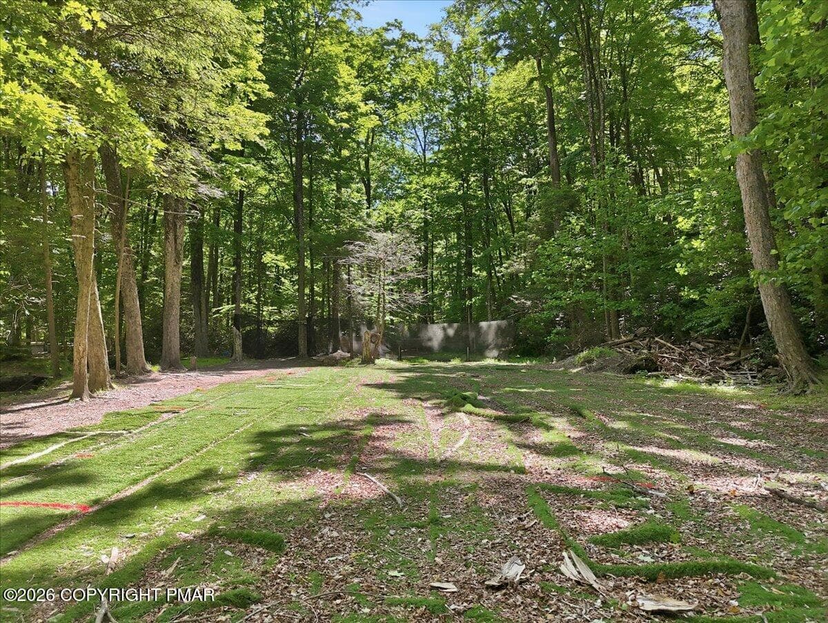 57-037_dji_fly_20260529_103316_0129_1780 - 145 Camelback Road, Tannersville, PA 18372