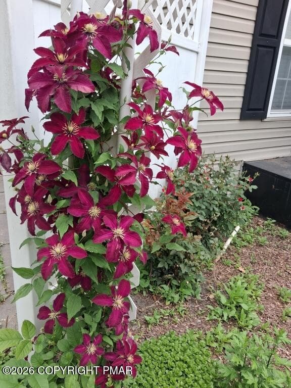 32-Clematis on Garden Arch - 396 Shawnee Valley Drive, East Stroudsburg, PA 18302, East Stroudsburg