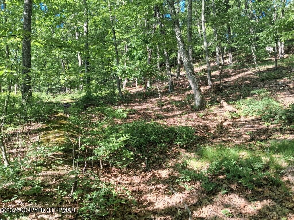 37-Private Woods - 396 Shawnee Valley Drive, East Stroudsburg, PA 18302, East Stroudsburg