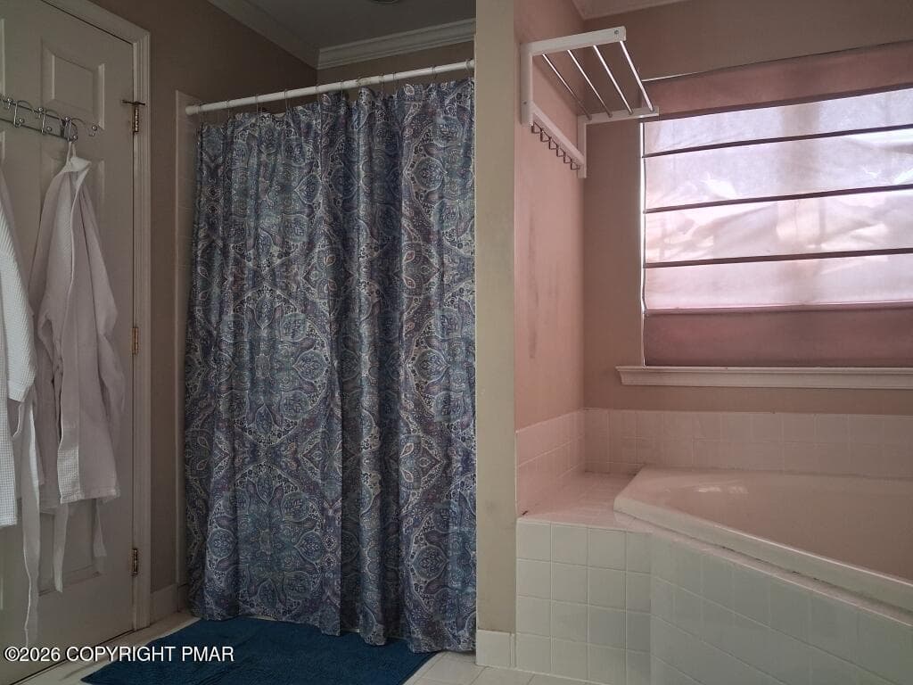 65-Master Bath Tub - Shower - 396 Shawnee Valley Drive, East Stroudsburg, PA 18302, East Stroudsburg