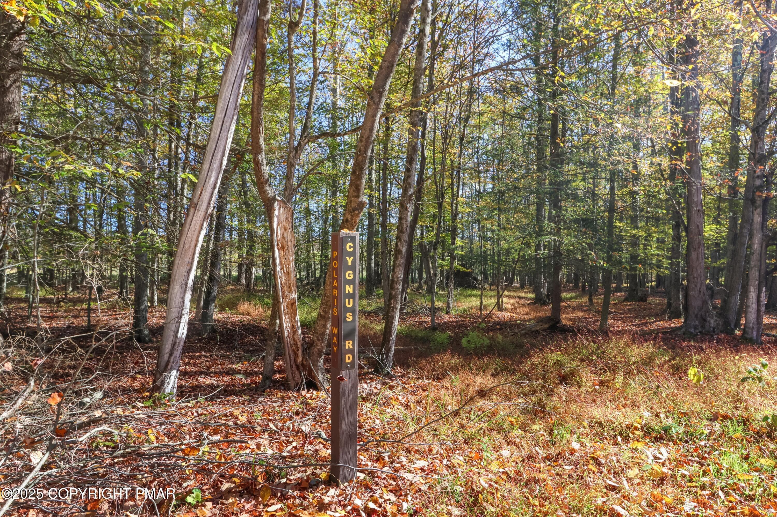 095A5488 - Cygnus Road, Lake Ariel, PA 18436, Lake Ariel