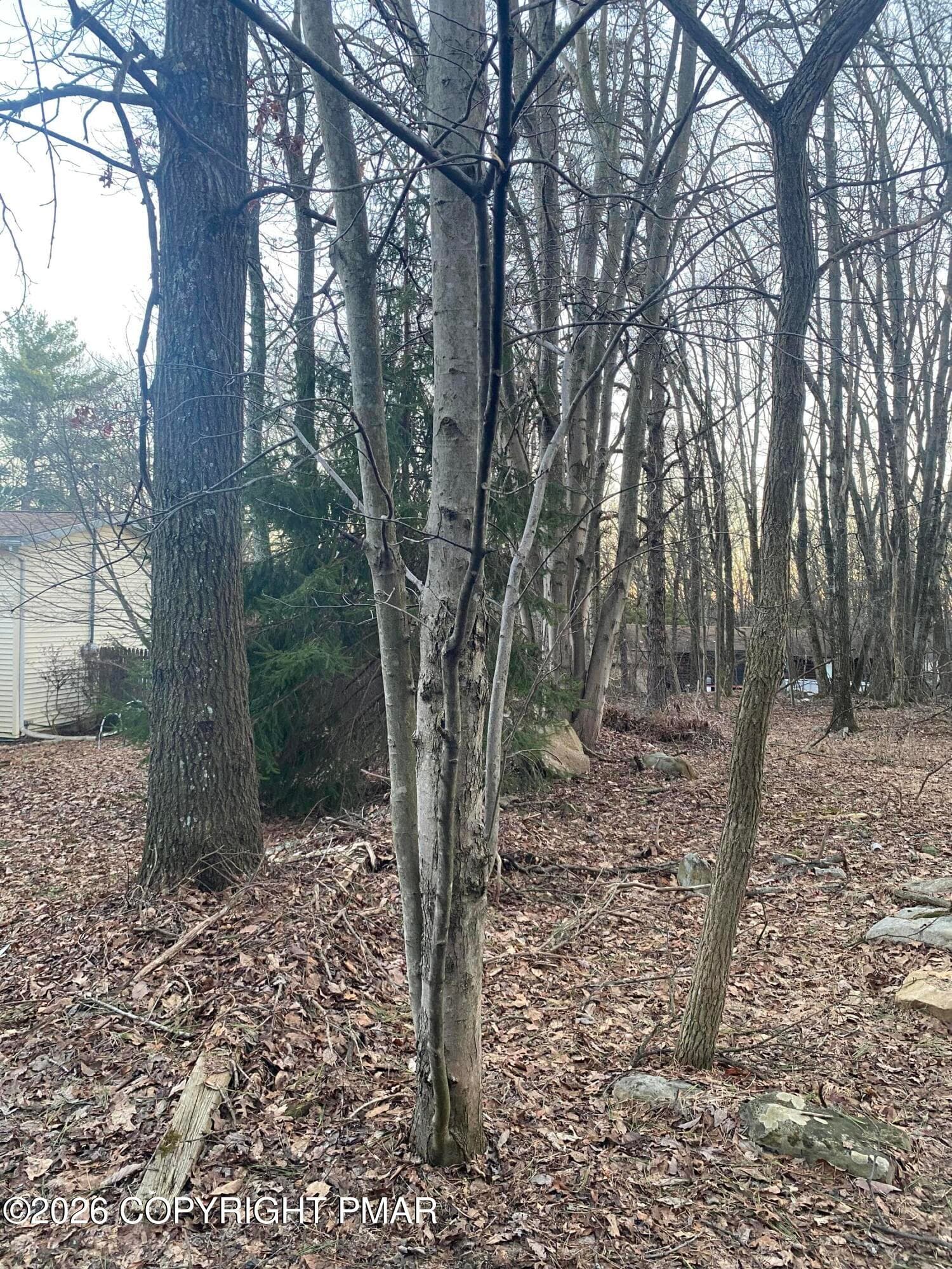 383 Johns Rd - 383 Johns Road, Effort, PA 18330, Effort