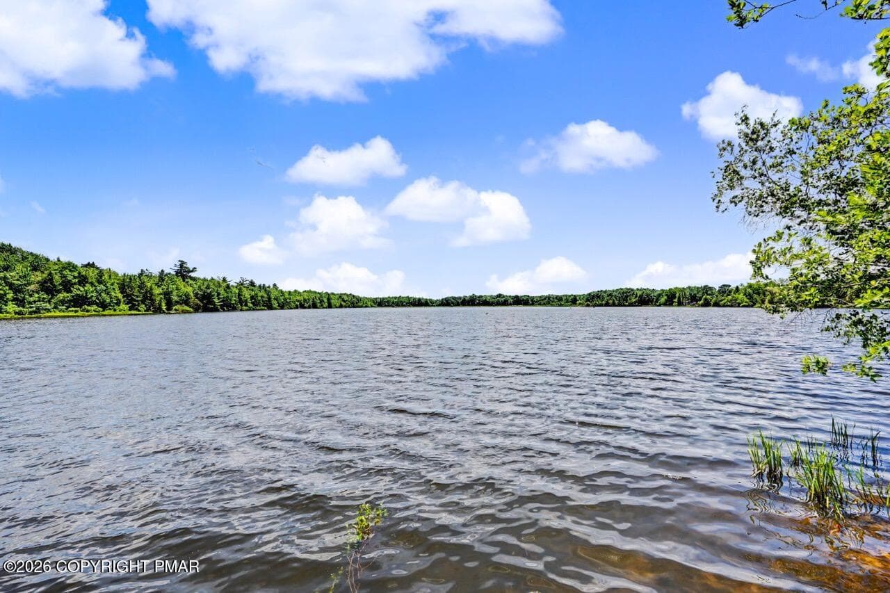 211 Nadine Blvd 72 Large - 211 Nadine Boulevard, Pocono Summit, PA 18346, Pocono Summit