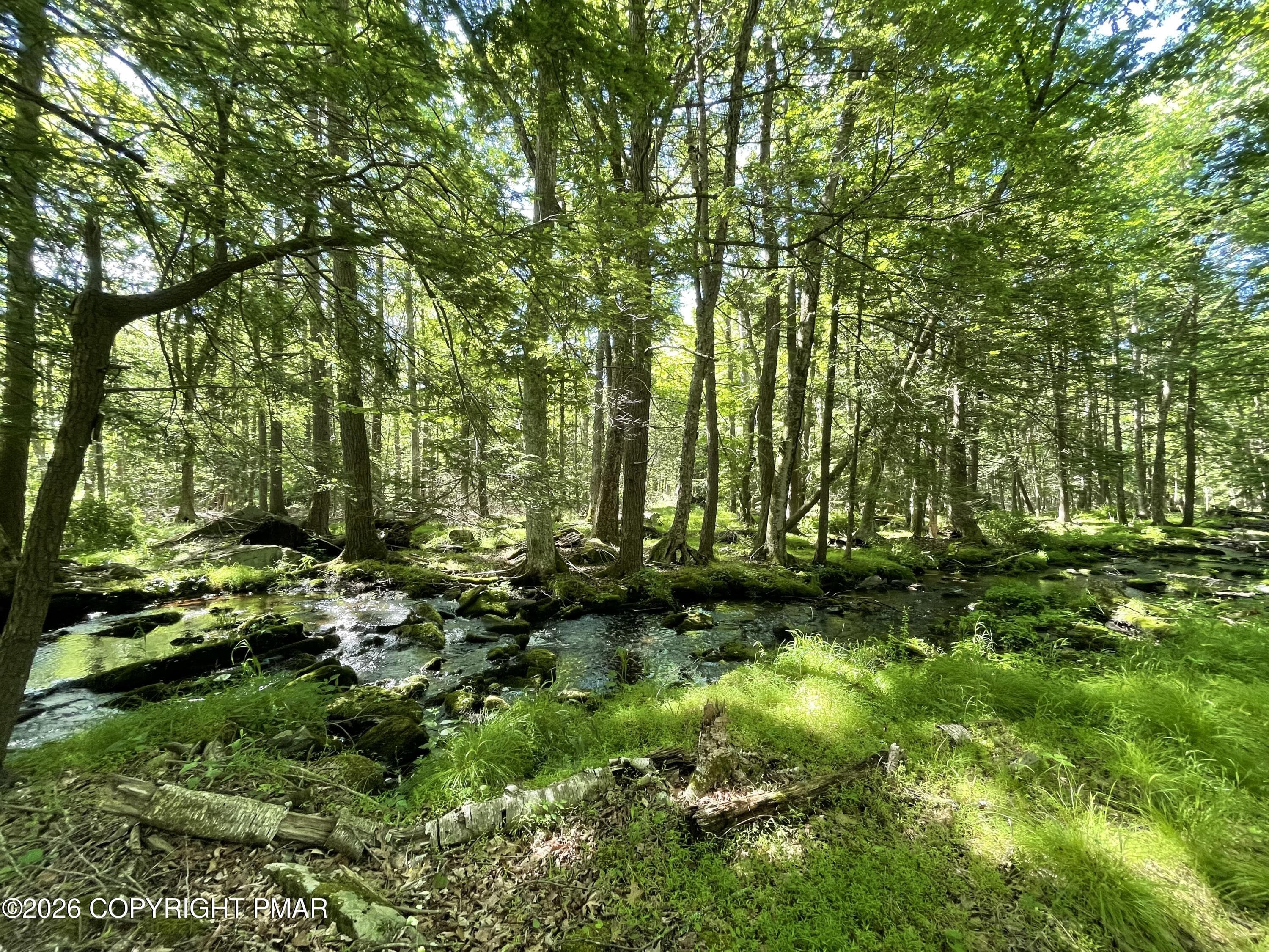 Creek - 111 Woods Way, Cresco, PA 18326, Cresco