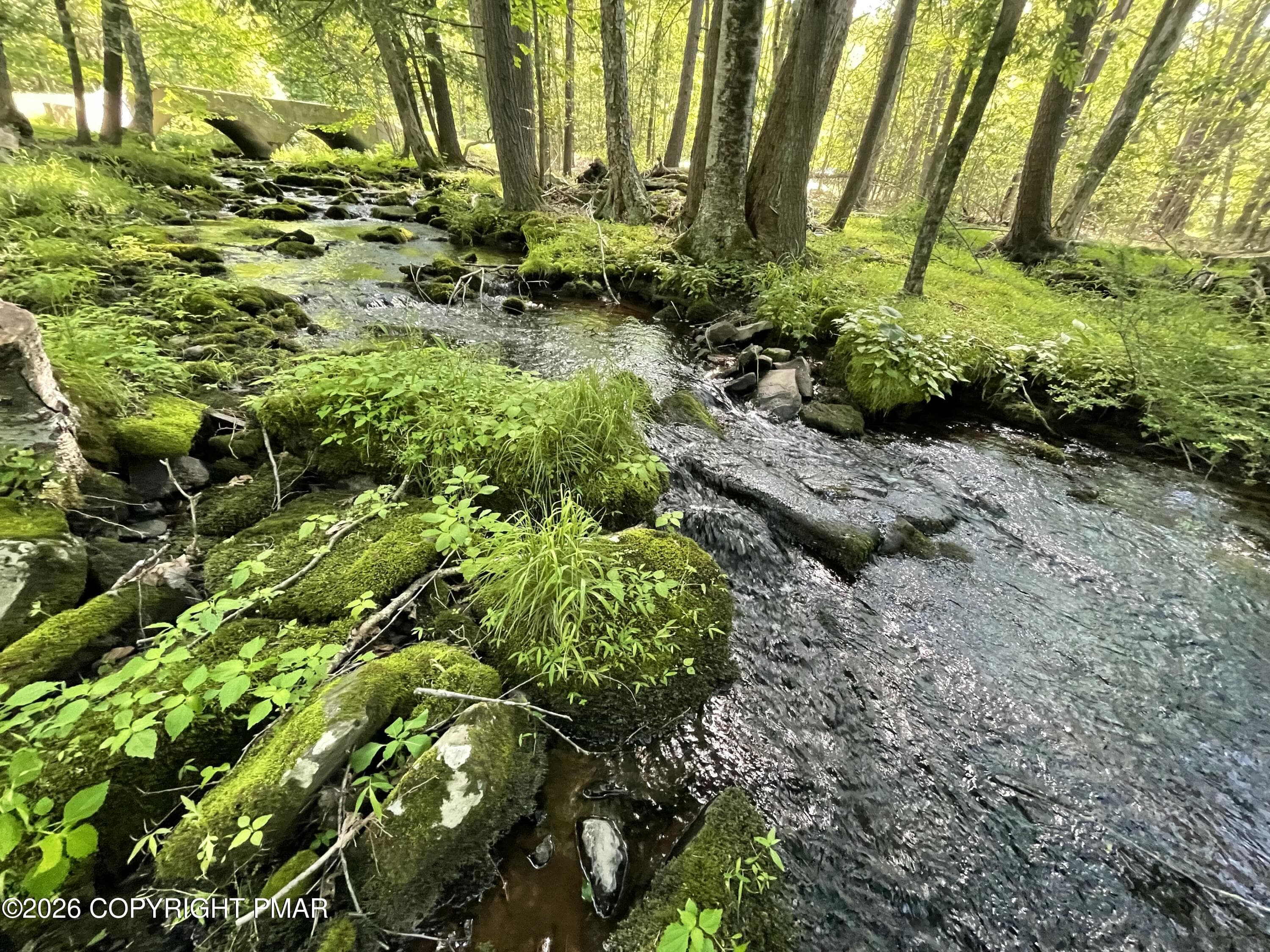 Creek - 111 Woods Way, Cresco, PA 18326, Cresco