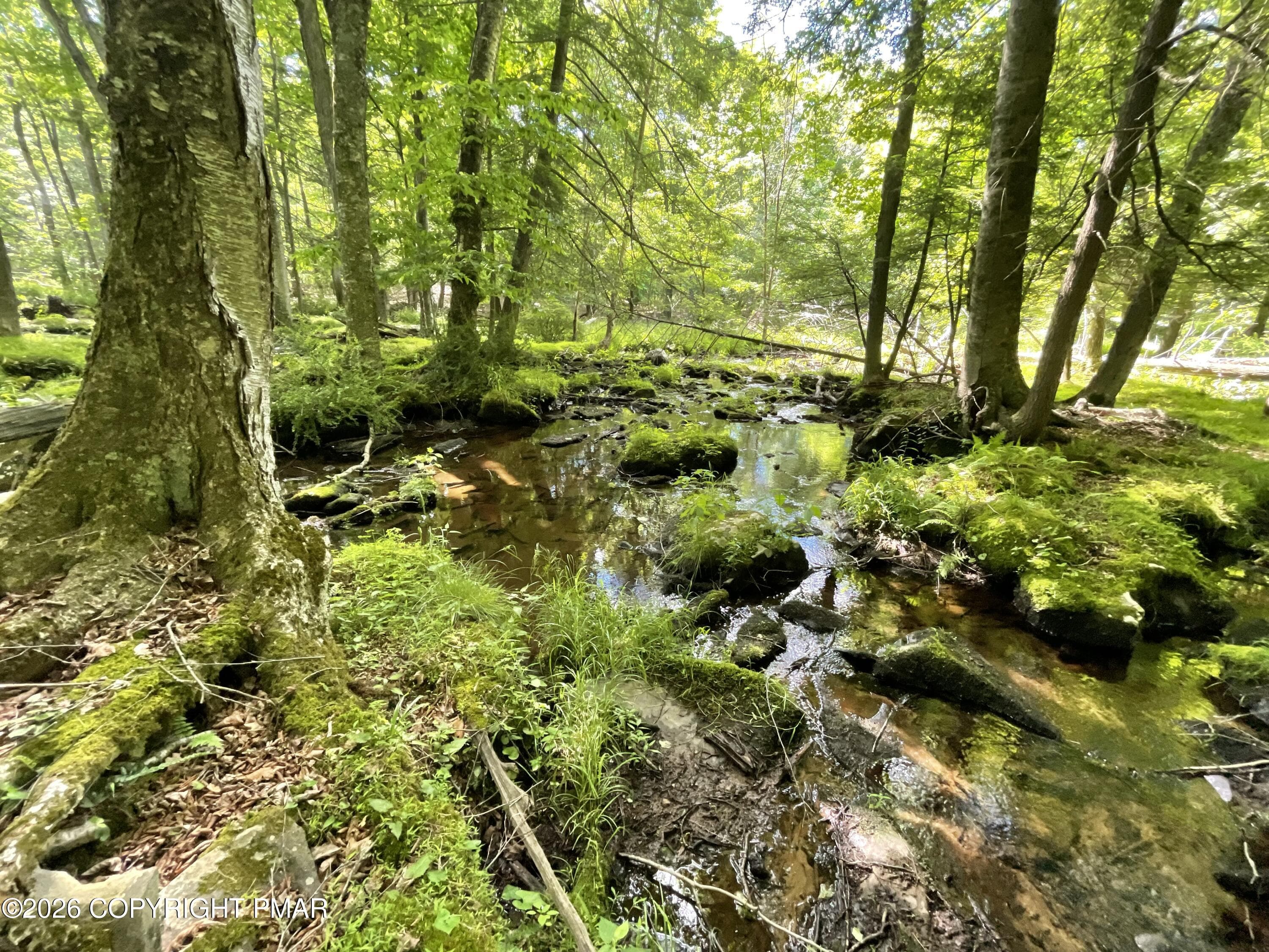 Creek - 117 Woods Way, Cresco, PA 18326, Cresco